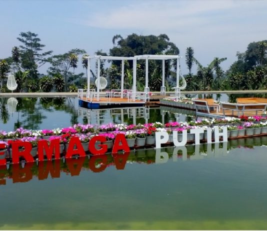 10 Destinasi Taman Bunga Instagramable Bikin Serasa di Luar Negeri