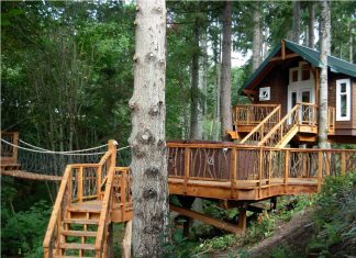 Wisata Rumah Pohon di Mancanegara yang Menarik Untuk Dikunjungi