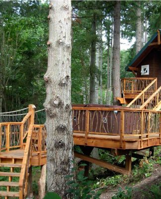 Wisata Rumah Pohon di Mancanegara yang Menarik Untuk Dikunjungi