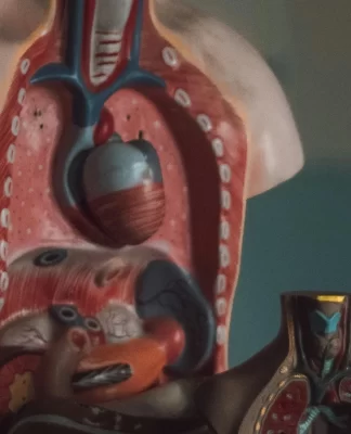 Tips dan Pengobatan Holistik Penyembuhan Liver secara Alami